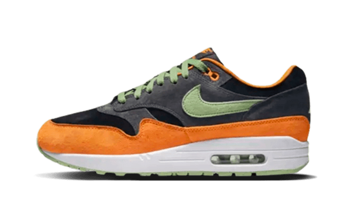 Nike Air Max 1 PRM Duck Anthracite