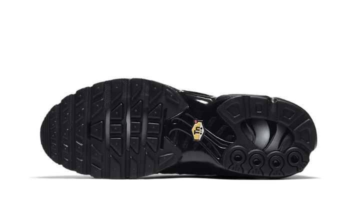 Nike Air Max Plus Triple Black