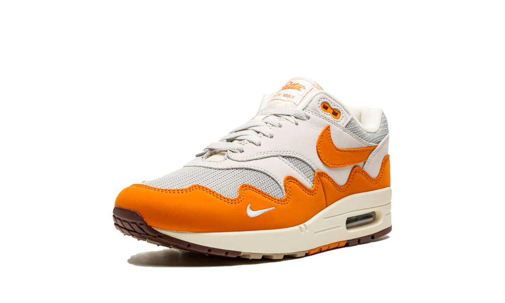 Nike Air Max 1 Patta Waves Monarch